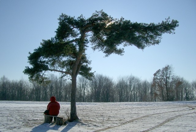 Vandrovca - foto povečava