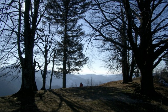 Vandrovca - foto povečava