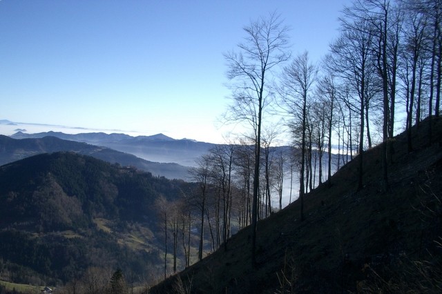 Vandrovca - foto povečava