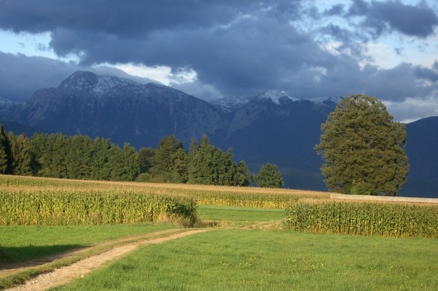 Vandrovca - foto povečava