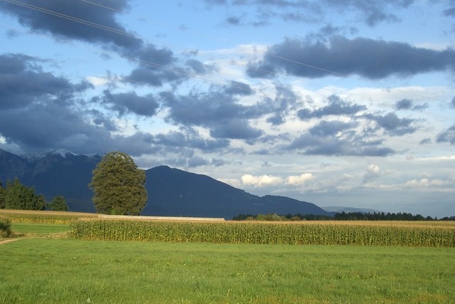 Vandrovca - foto povečava