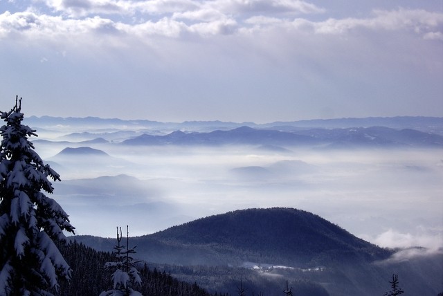 Vandrovca - foto povečava