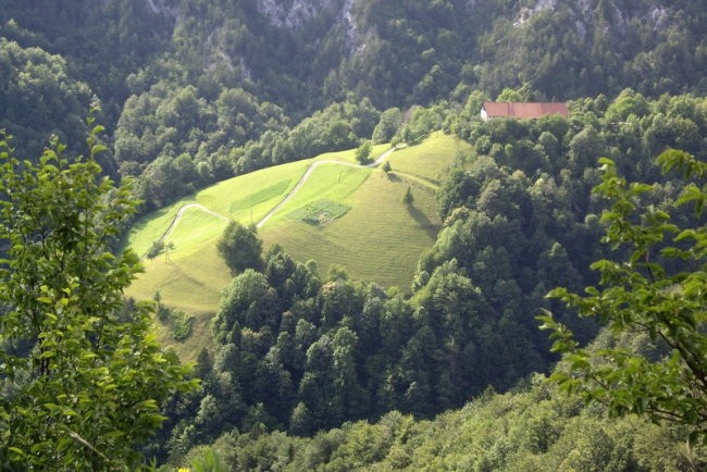 Vandrovca - foto povečava