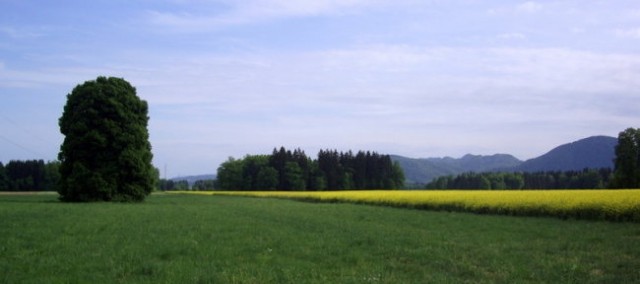 Vandrovca - foto