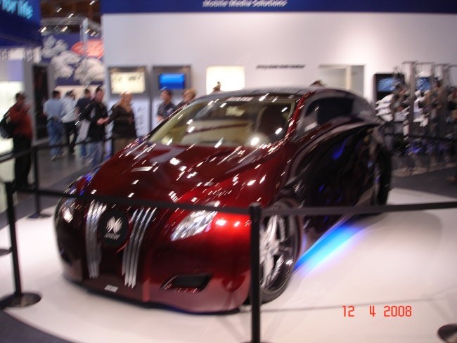 Sinsheim 2008 - foto povečava