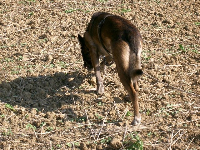 Saarland 2007 - foto