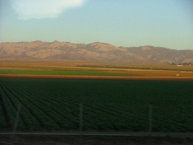 California 2005 - foto