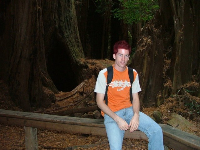 California 2005 - foto