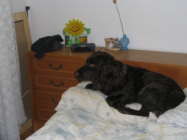 Eko, tole je naša kuža