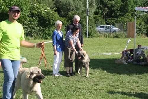 Clubschau - foto povečava