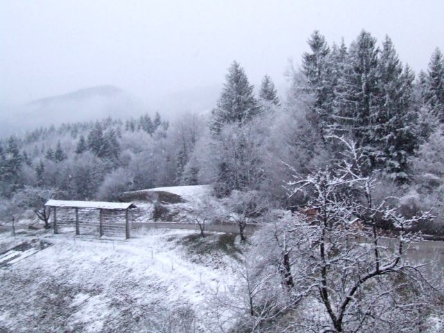 Sneg 4.3.2008 - foto povečava