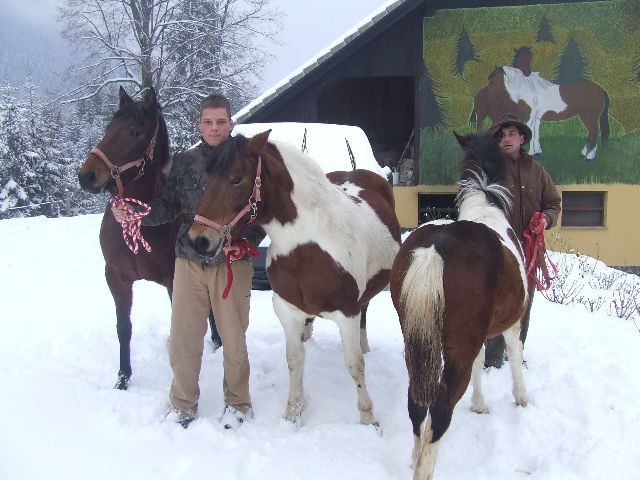 Sneg 29.11.2008 - foto povečava