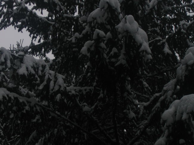 Zima 2005 - foto povečava