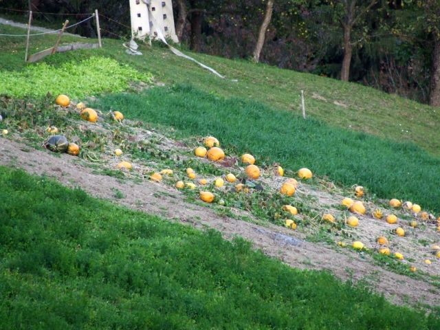 Razno - foto povečava