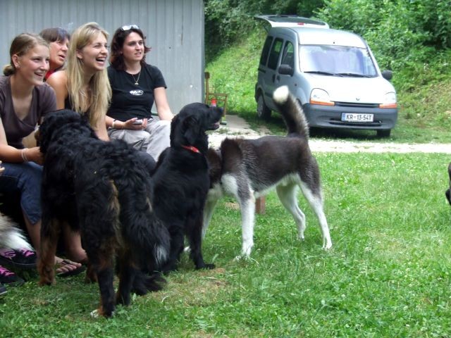 6.srečanje pesjanarjev - foto povečava