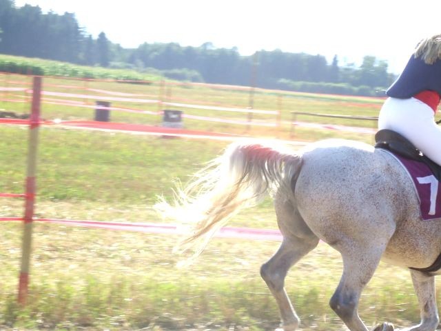 Galopske dirke 2007 - foto povečava