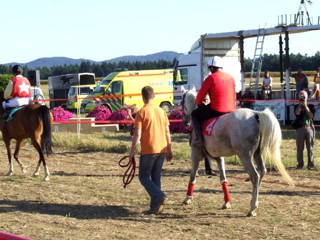 Galopske dirke 2007 - foto povečava