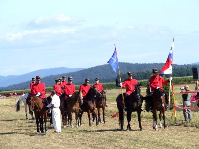 Galopske dirke 2007 - foto povečava