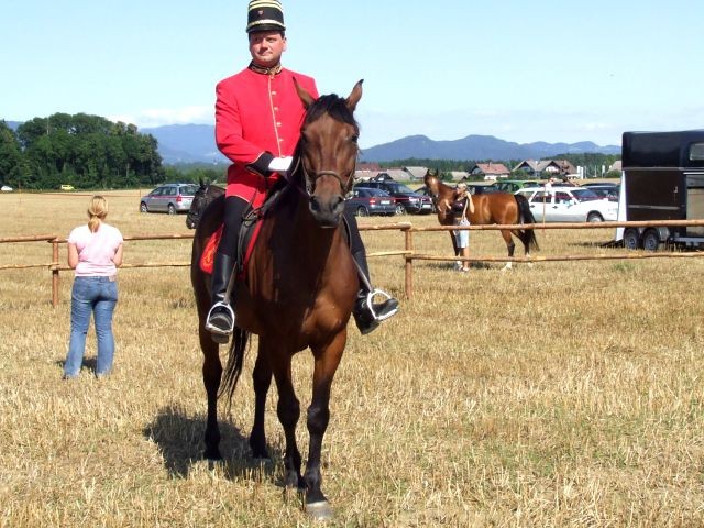 Galopske dirke 2007 - foto povečava