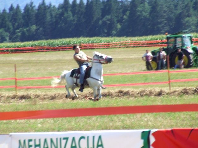 Galopske dirke 2007 - foto povečava