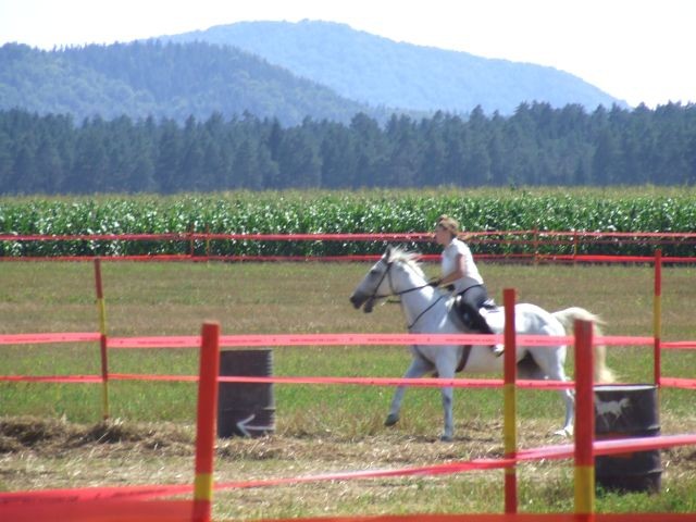 Galopske dirke 2007 - foto povečava