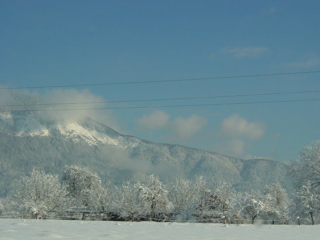 Narava - foto povečava