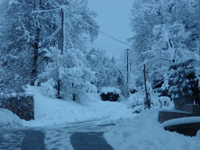 Narava - foto