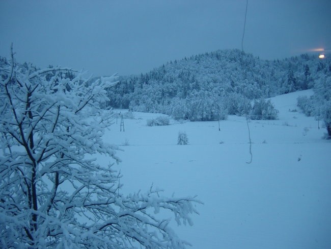 Narava - foto povečava