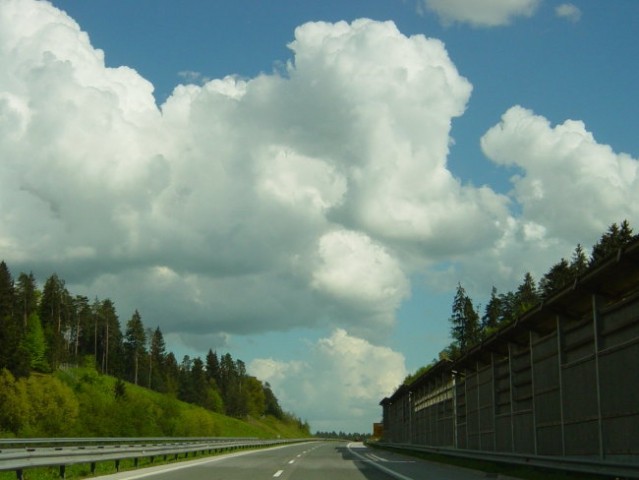 Narava - foto