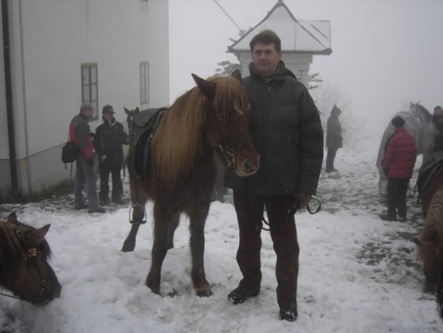 Blagoslov konj - foto