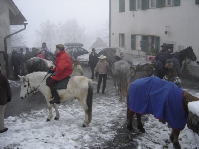 Blagoslov konj - foto