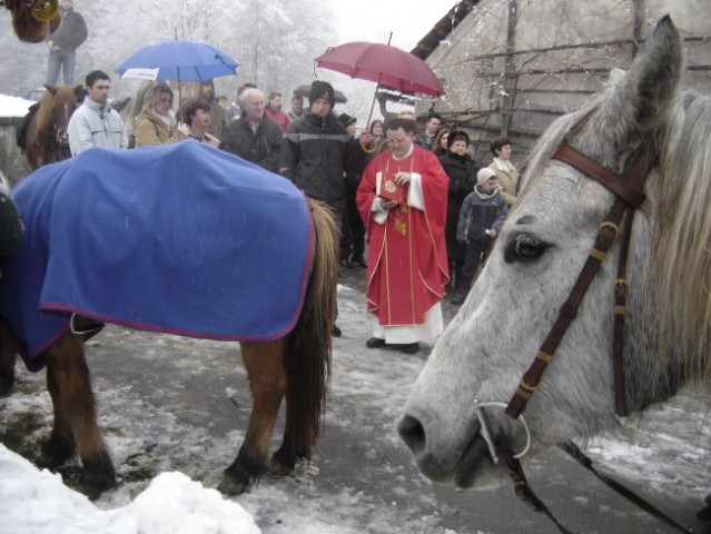 Blagoslov konj - foto