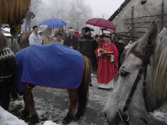 Blagoslov konj - foto povečava