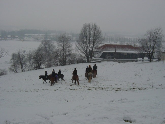 Blagoslov konj - foto povečava