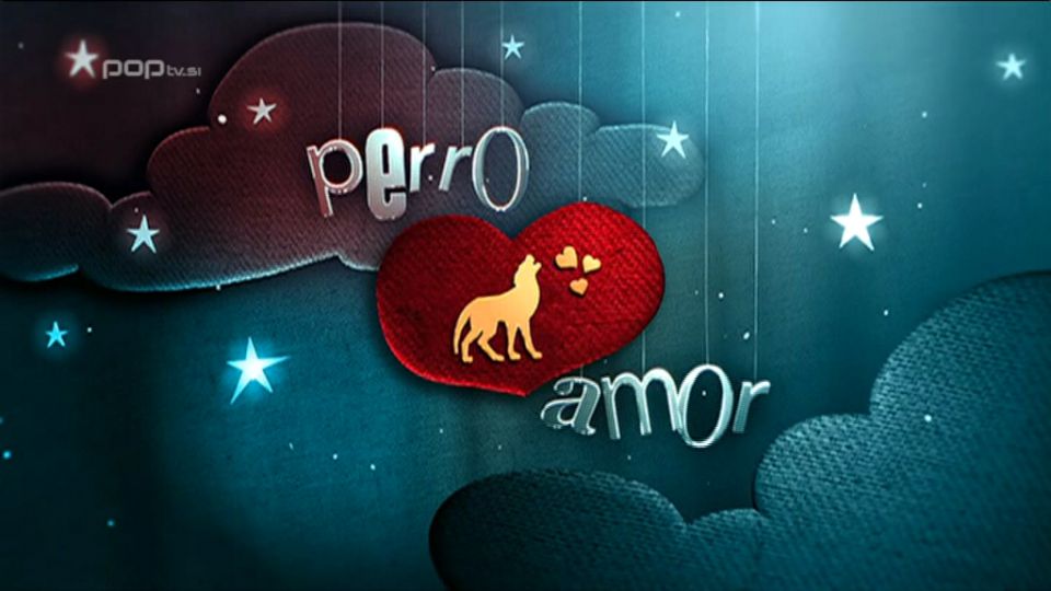 Perro amor (sebicna ljubezen) - foto povečava