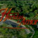 HERIDAS DE AMOR (Spopad strasti - POP TV)