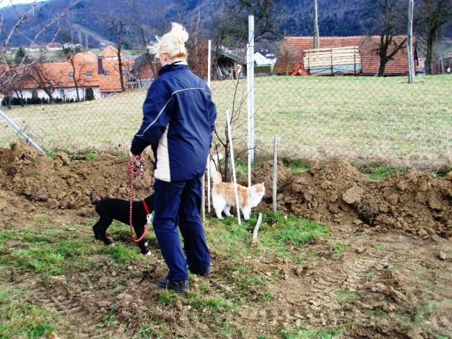 Nero 4 - foto povečava