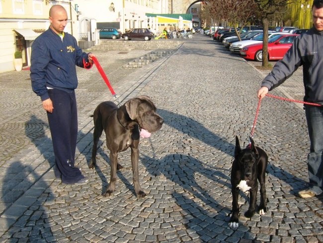 Nero 4 mesece - foto povečava