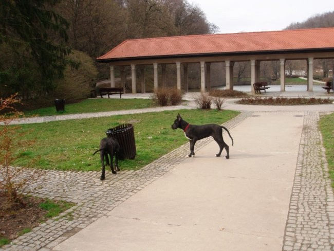 29.03.2008 - foto povečava