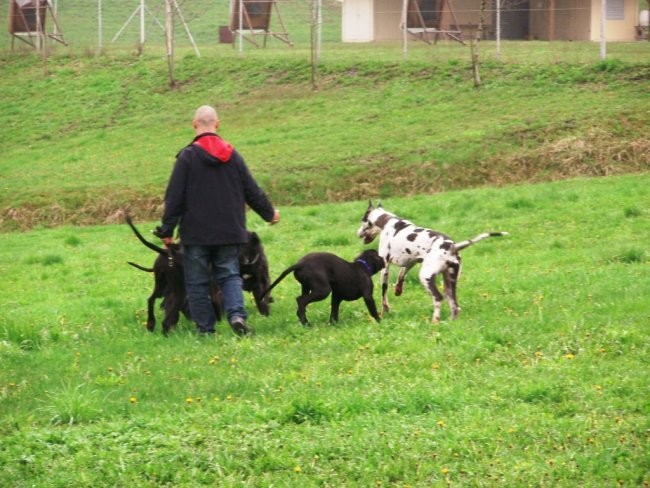 Srečanje dogic 13.4.08 - foto povečava