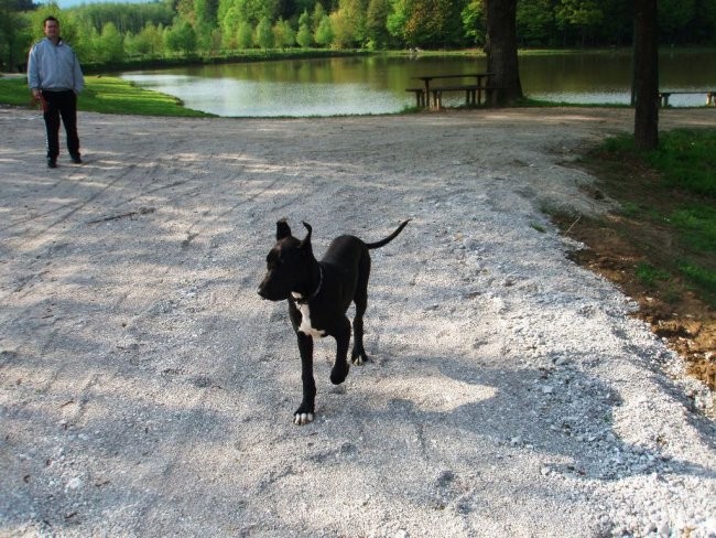 26.04.08 - foto povečava