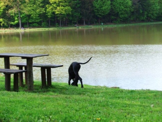 26.04.08 - foto povečava