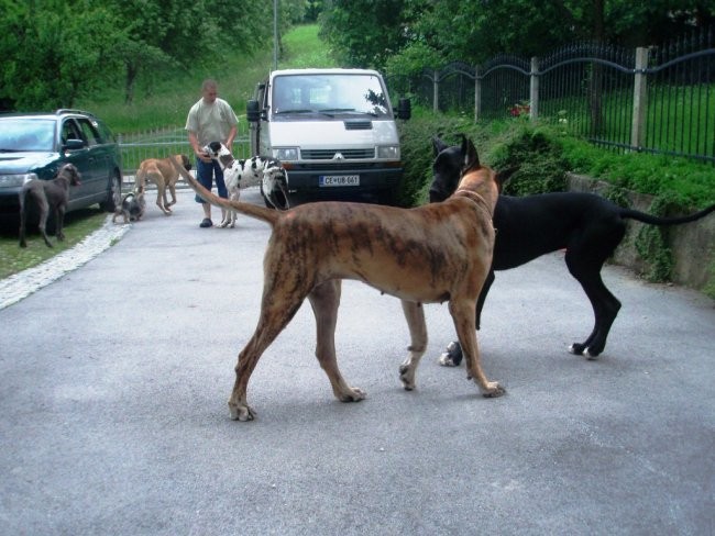 07.06.2008 - foto povečava