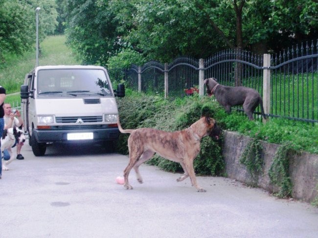 07.06.2008 - foto povečava