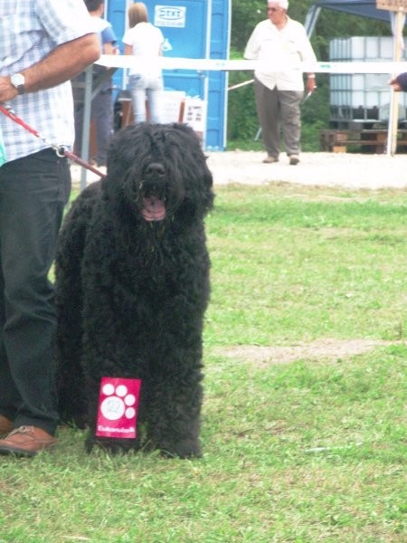 Cac trbovlje30.8.2008 - foto