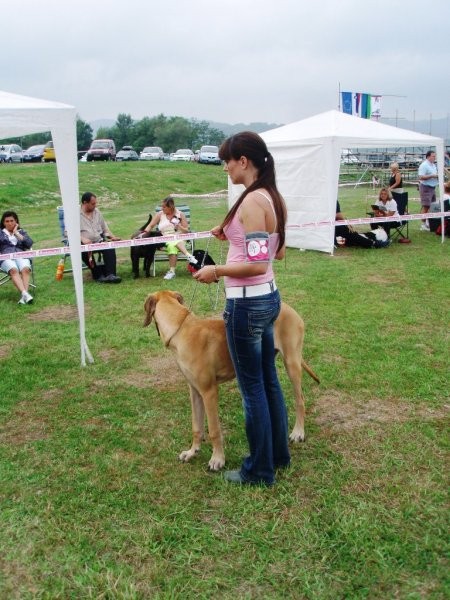 Cac trbovlje30.8.2008 - foto