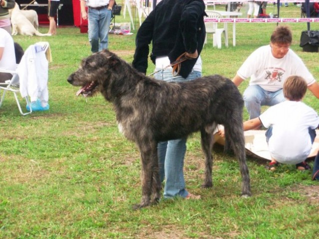 Cac trbovlje30.8.2008 - foto