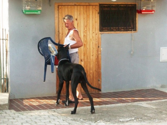 Cac trbovlje30.8.2008 - foto