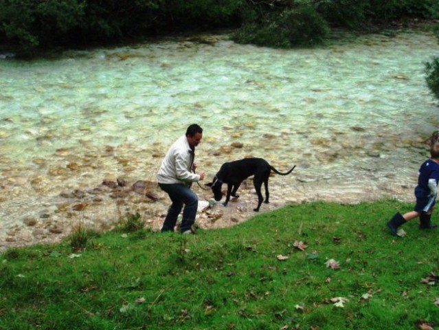 Srečanje dogic 13.9.2008 - foto