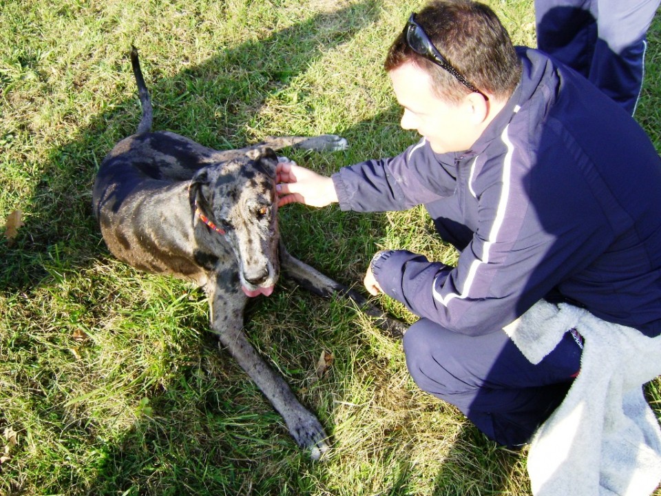 Nero in Goochie 19.10.2008 - foto povečava